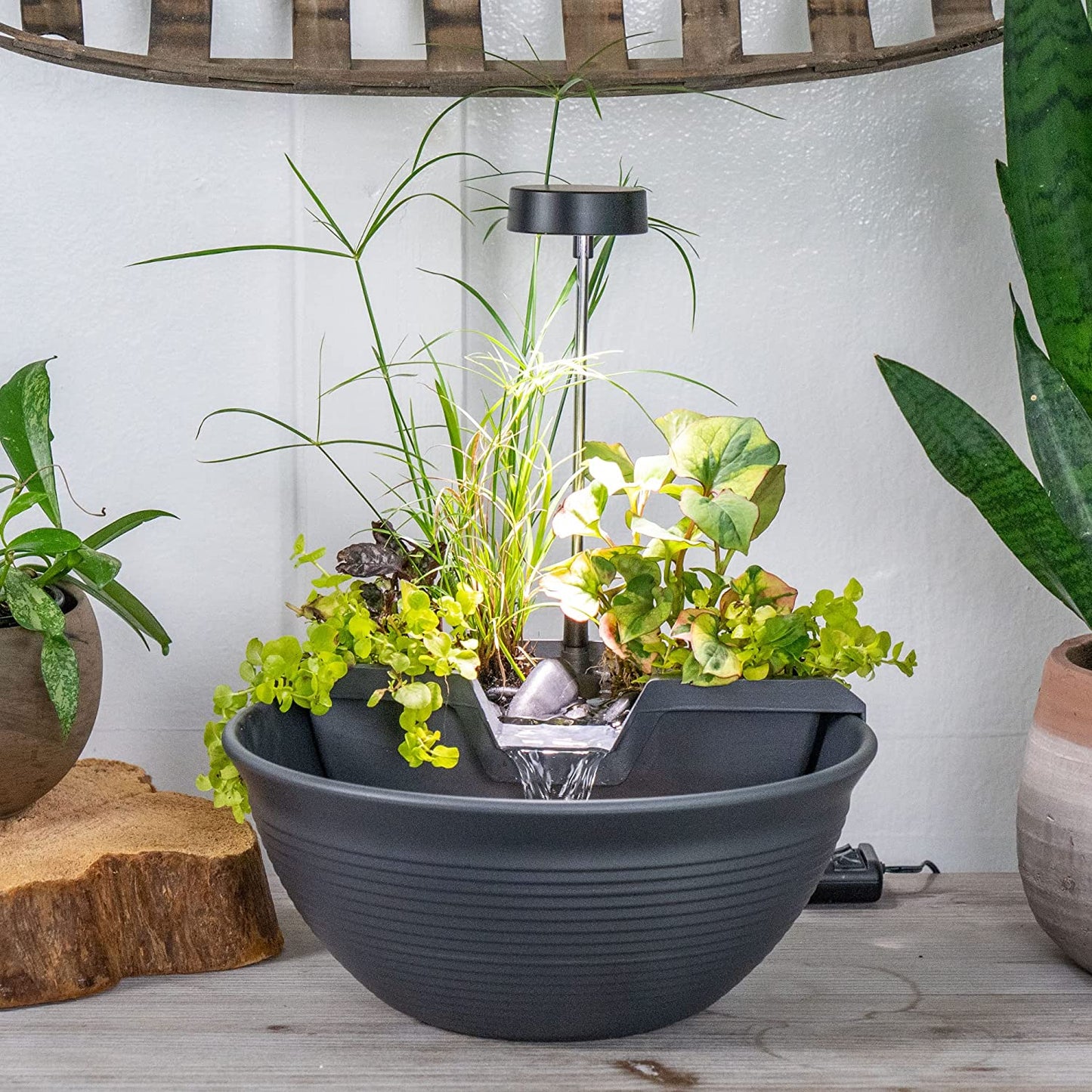 Aquascape AquaGarden Tabletop Fountain Kit, Gray