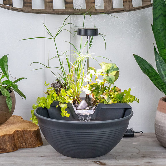 Aquascape AquaGarden Tabletop Fountain Kit, Gray